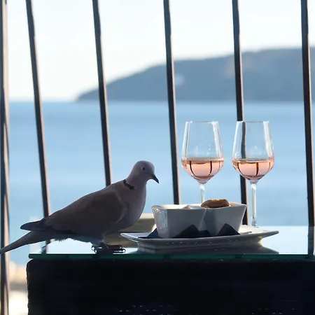 加考尼西贝斯特韦斯特酒店 土伦